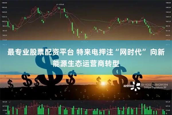 最专业股票配资平台 特来电押注“网时代” 向新能源生态运营商转型