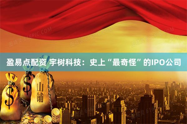 盈易点配资 宇树科技：史上“最奇怪”的IPO公司