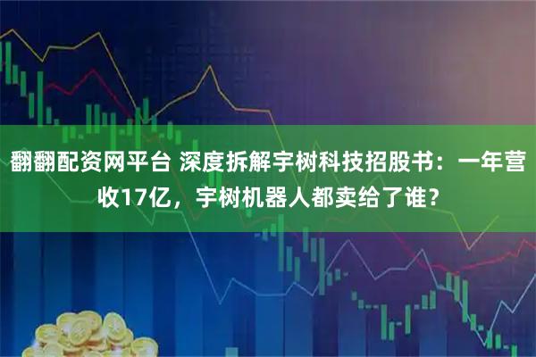 翻翻配资网平台 深度拆解宇树科技招股书：一年营收17亿，宇树机器人都卖给了谁？